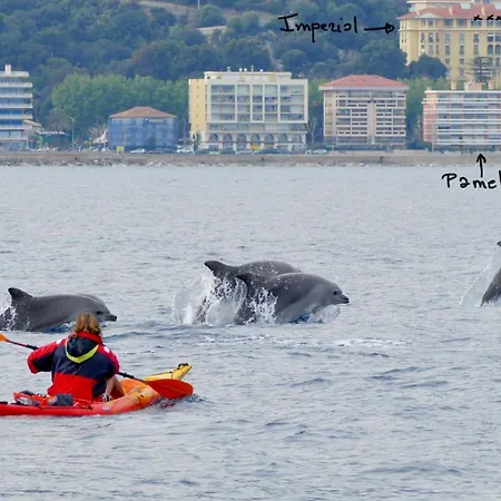 Le Pamela Face A La Mentone